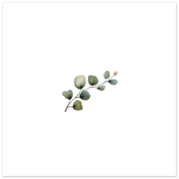 66b9f5af-24fe-4ccc-a72a-4b0eae40fb99
